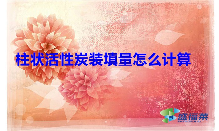 柱狀活性炭裝填量怎么計算（活性炭填充量計算方法）