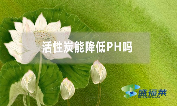 活性炭能降低PH嗎？為什么？