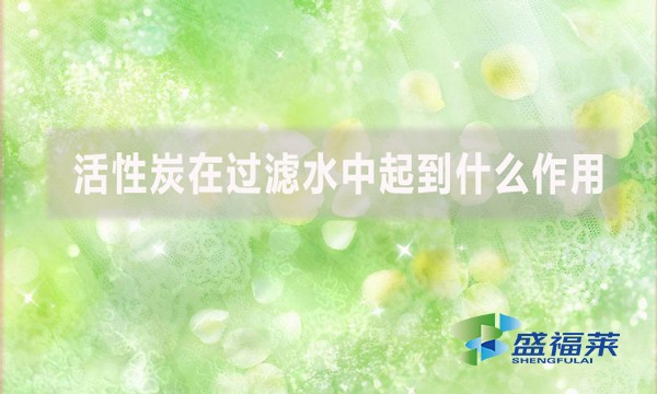 活性炭在過濾水中起到什么作用？