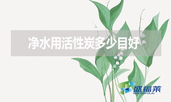 凈水用活性炭多少目好？有哪些優(yōu)缺點？