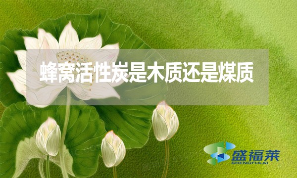 蜂窩活性炭是木質(zhì)還是煤質(zhì)？哪種好？