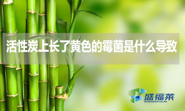 活性炭上長(zhǎng)了黃色的霉菌是什么導(dǎo)致的？還能不能使用？